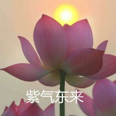暴走一刀bt变态版下载